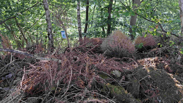 Foto: Lokalstimme.de