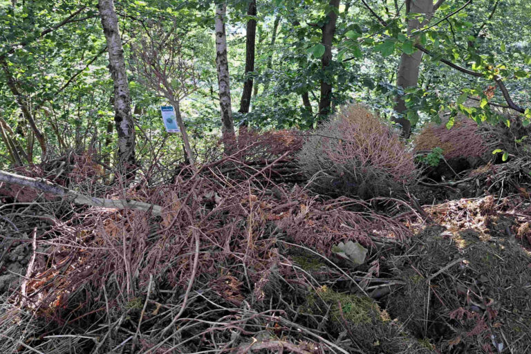 Foto: Lokalstimme.de