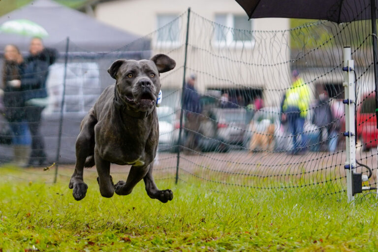 Foto: Verein „Verstehst du mich?“