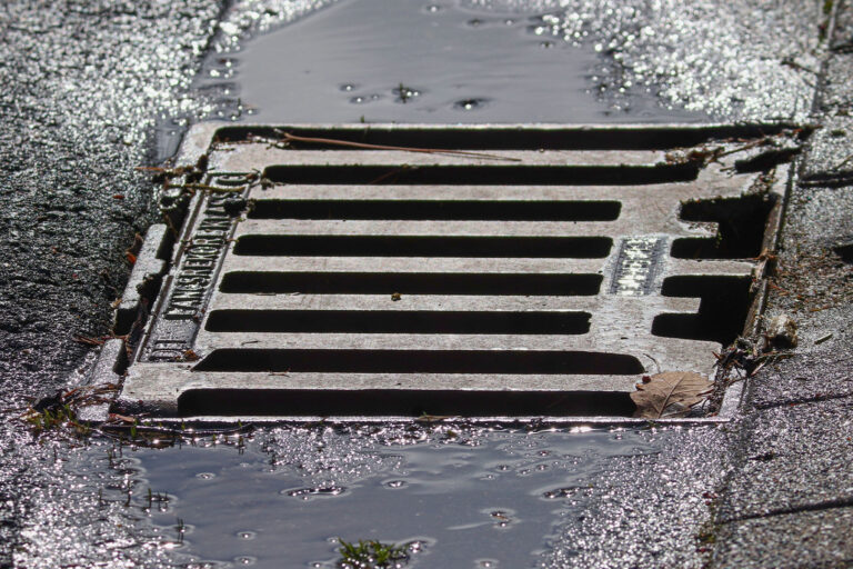 Foto: Symbolbild / Manfred Richter / Pixabay