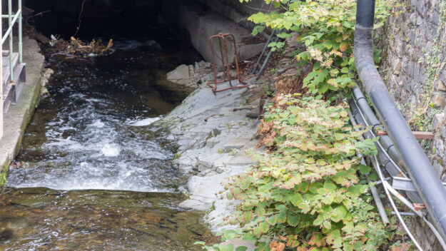 Foto: Archiv Lokalstimme.de