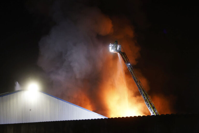 Foto: Dennis Echtermann