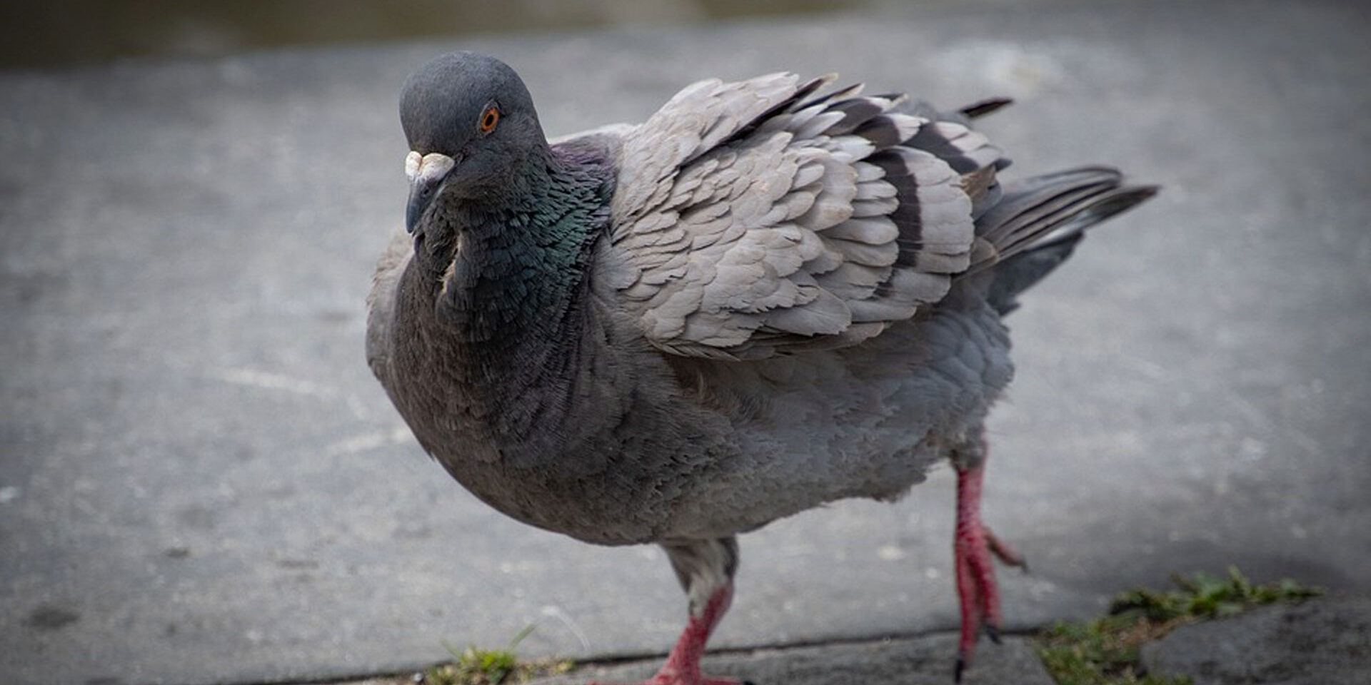 © Foto: Symbolbild / pixabay / dendoktoor