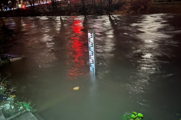 Foto: Carsten Menzel