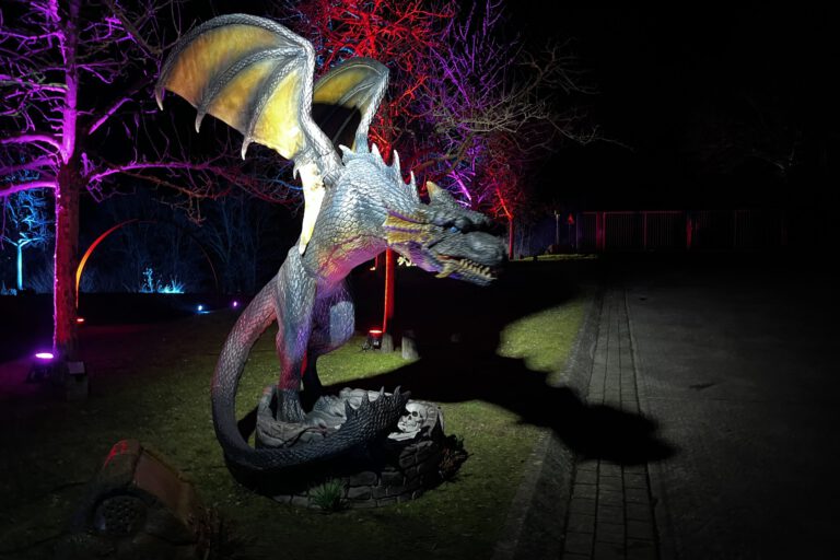 Foto: Hendrik Schulze Zumhülsen