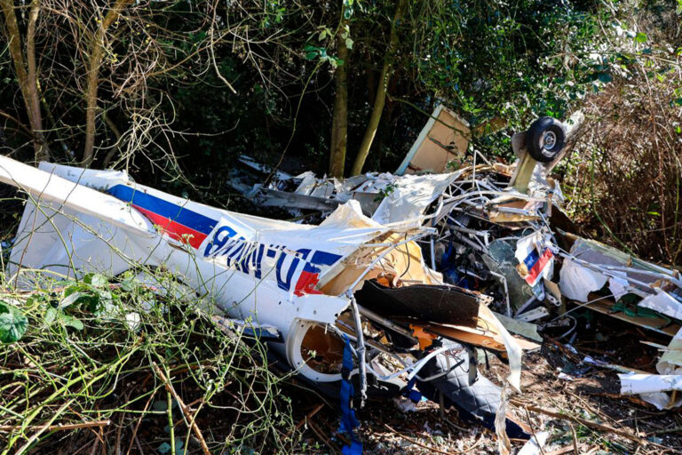 Ein Flugzeugwrack liegt in einem Gebüsch