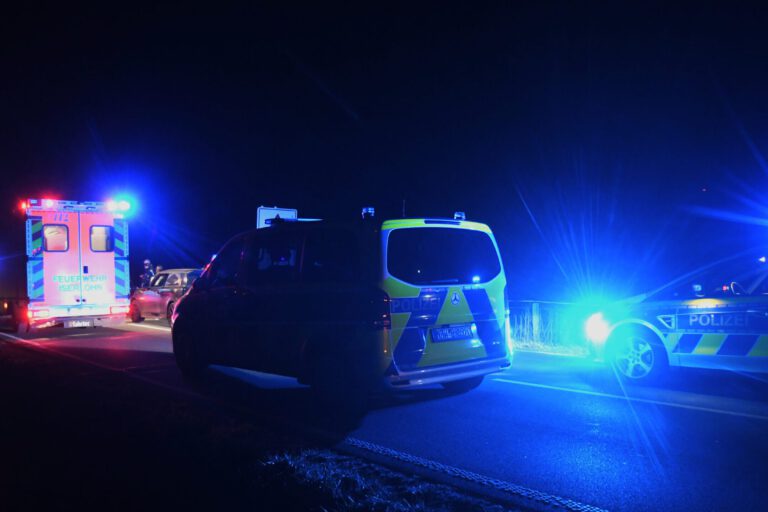 Zwei Polizeiwagen und ein Rettungswagen mit Blaulicht bei Nacht auf einer Straße.