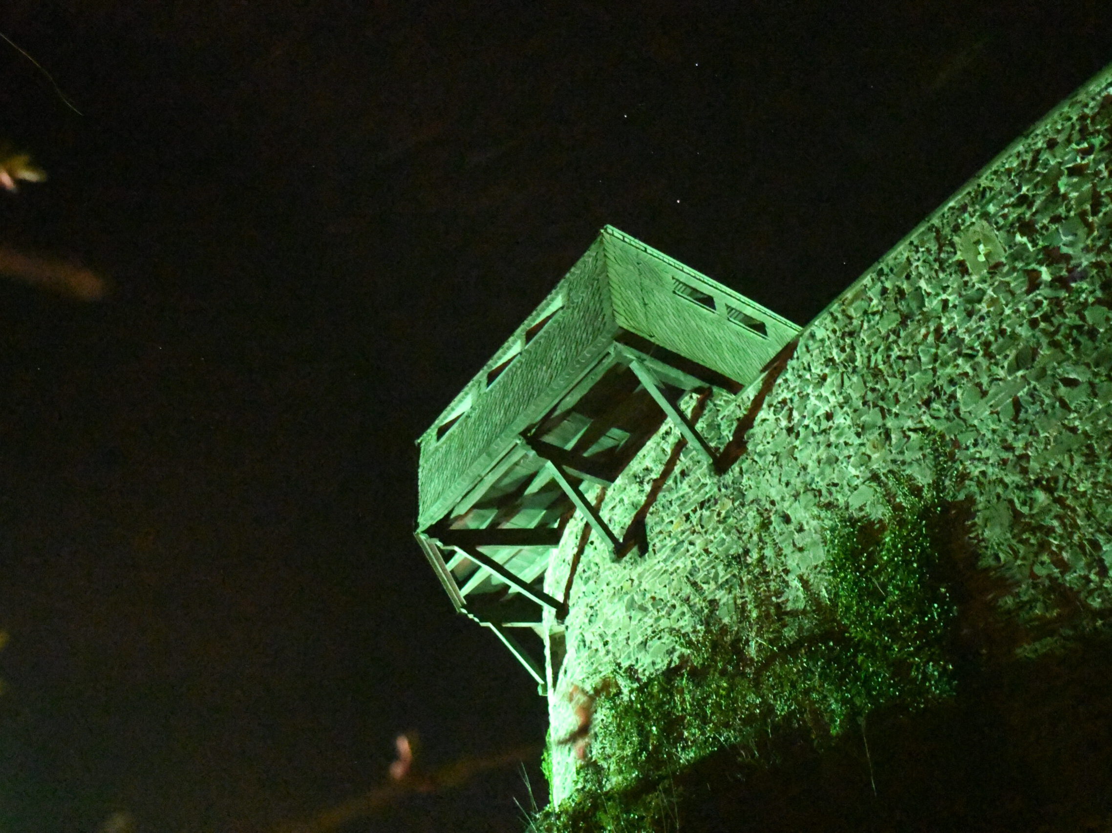Die Burg Altena erstrahlt bei Nacht in grünem Licht.