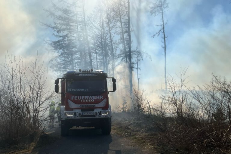 Ein Feuerwehrfahrzeug steht in einem brennenden Wald.