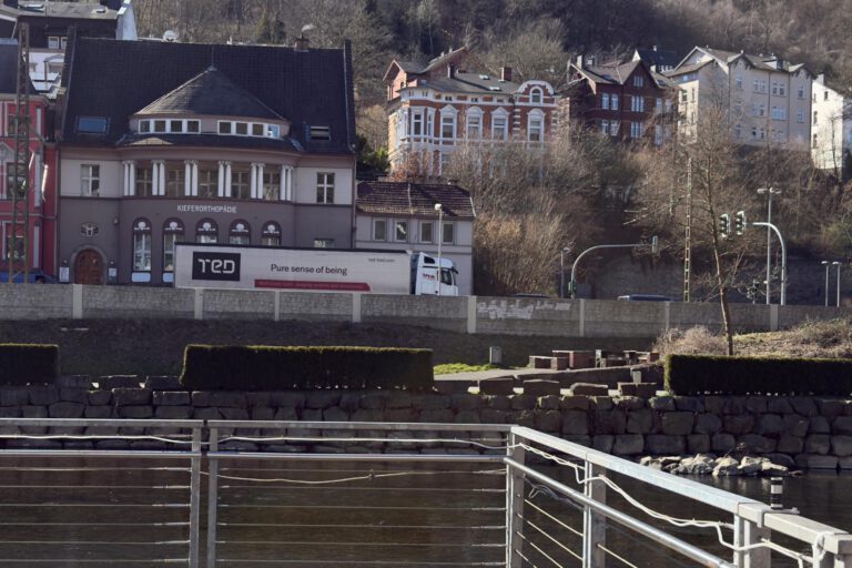Ein Lkw fährt auf einer Straße vor mehreren Häusern. Im Vordergrund eine Hecke.