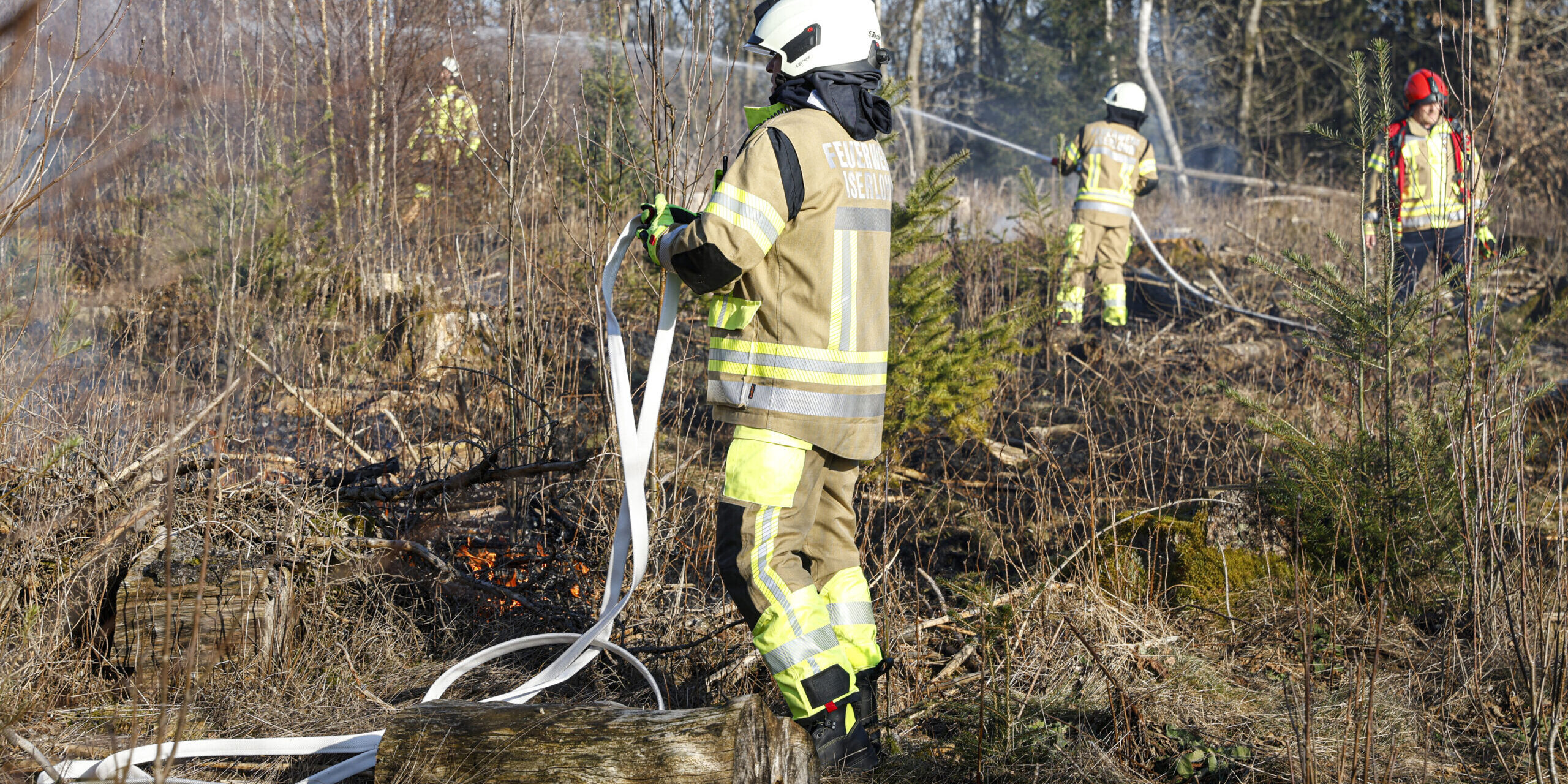 Feuerwehrleute stehen in einen brennenden Waldstück.
