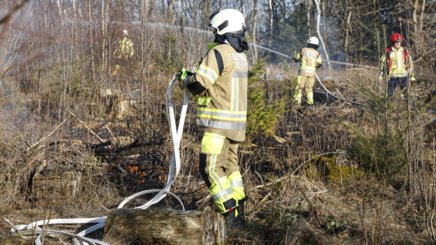Foto: Dennis Echtermann Feuerwehrleute stehen in einen brennenden Waldstück.