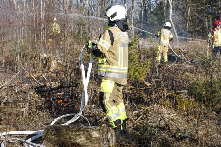 Feuerwehrleute stehen in einen brennenden Waldstück.