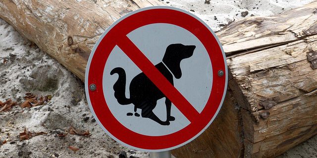 Ein Schild "keine Hunde Toilette" steht vor einem Sandkasten.