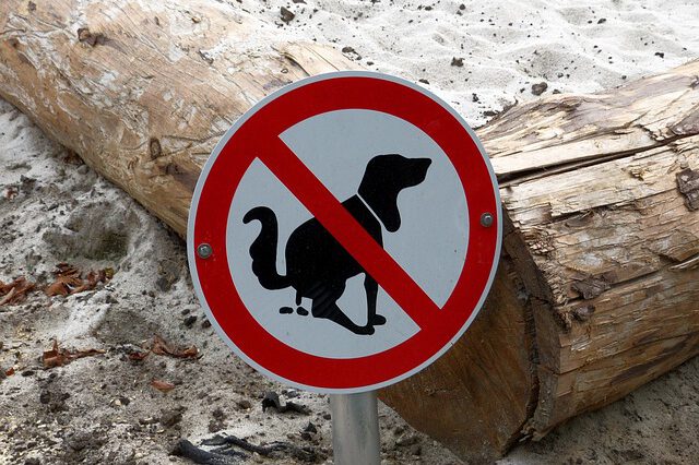 Ein Schild "keine Hunde Toilette" steht vor einem Sandkasten.