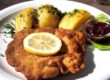 Panierte Schnitzel auf einem weißen Teller, serviert mit Zitronenscheibe und Petersilie, daneben ein kleiner Salat und Kartoffeln.