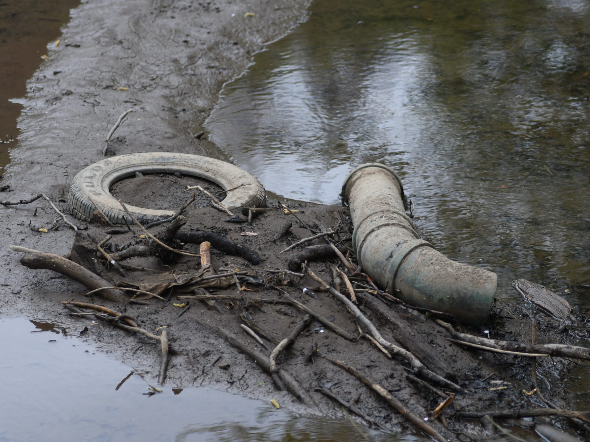 Ein Reifen, Äste und ein Rohr liegen auf dem Grund eines Flusses, der zum Teil trocken gelegt wurde.
