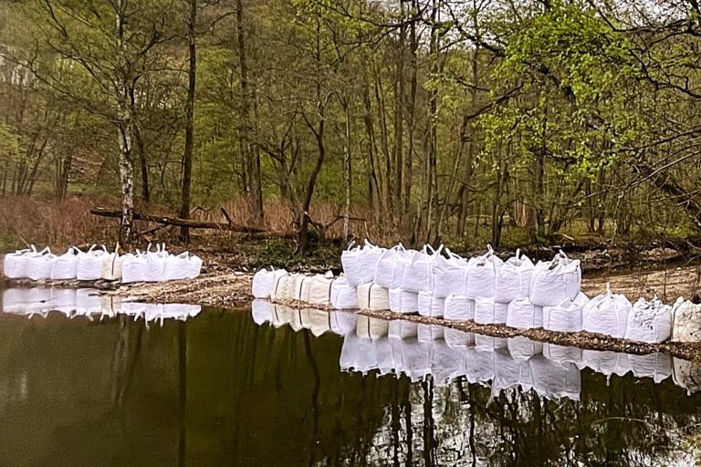 Blick auf einen Fluss mit leichter Strömung, links im Vordergrund dicke Äste und Treibgut im Wasser, im Hintergrund ein bewaldetes Ufer mit kahlen Bäumen und Sträuchern.