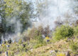 Bei einem Brand an einem steilen Waldgebiet bekämpfen Feuerwehrleute die Flammen. Es steigt Rauch auf.