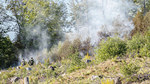 Foto: Dennis Echtermann Bei einem Brand an einem steilen Waldgebiet bekämpfen Feuerwehrleute die Flammen. Es steigt Rauch auf.