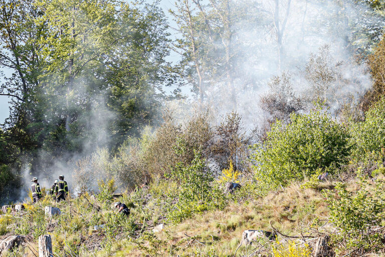 Bei einem Brand an einem steilen Waldgebiet bekämpfen Feuerwehrleute die Flammen. Es steigt Rauch auf.