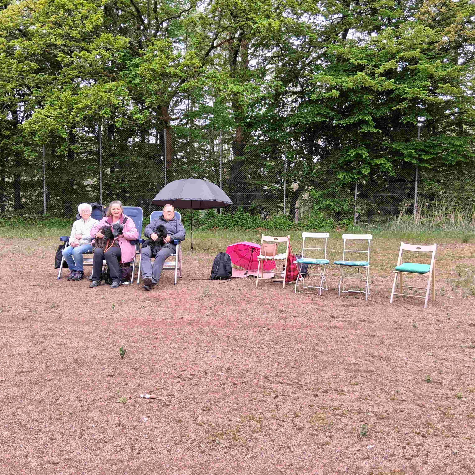 Zuschauer eines Hunderennen sitzen auf Gartenstühlen.