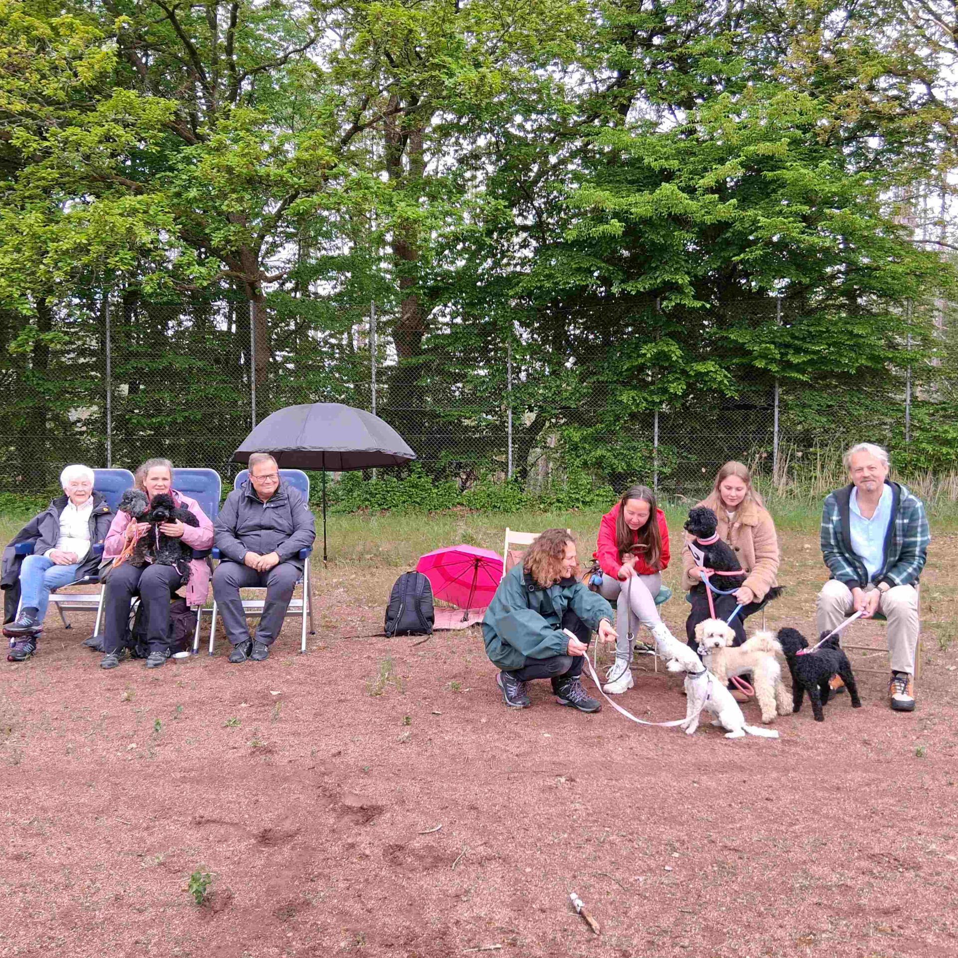 Zuschauer eines Hunderennen sitzen auf Gartenstühlen.