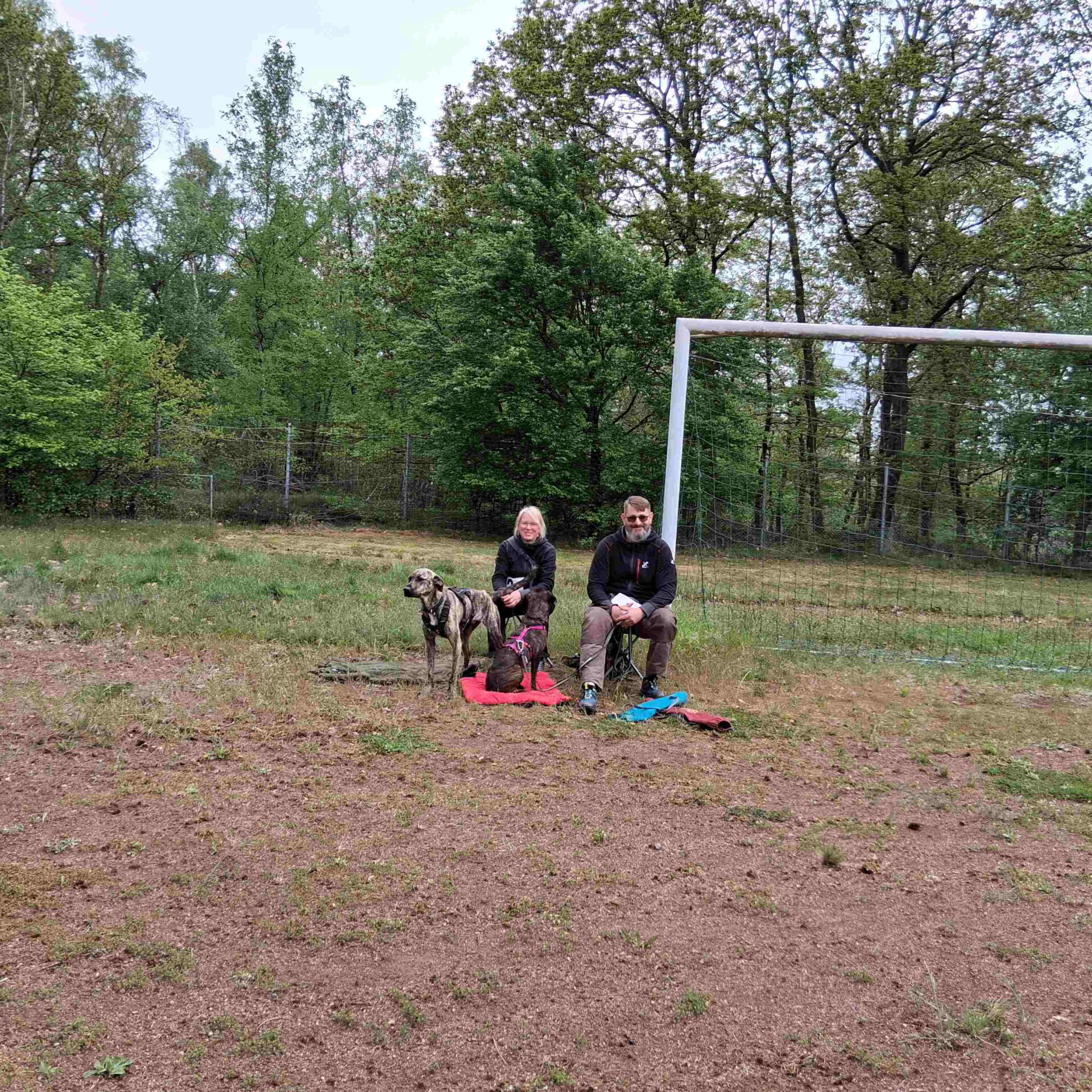 Zuschauer eines Hunderennen sitzen auf Gartenstühlen.