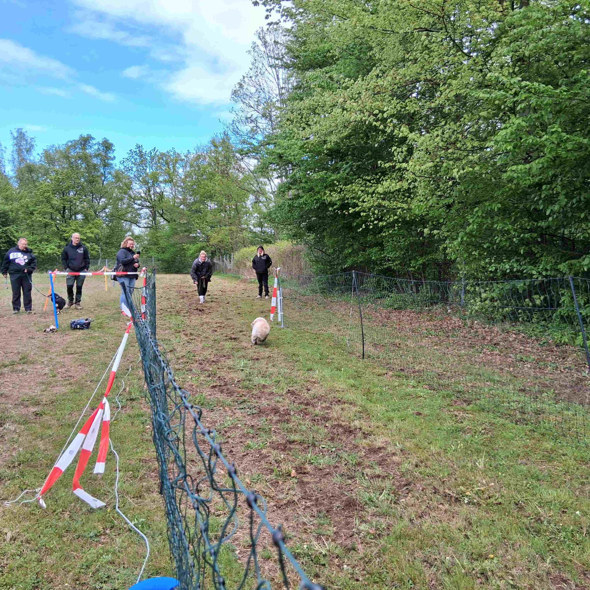 Ein Hund rennt in den Zieleinlauf, wo das Herrchen wartet.
