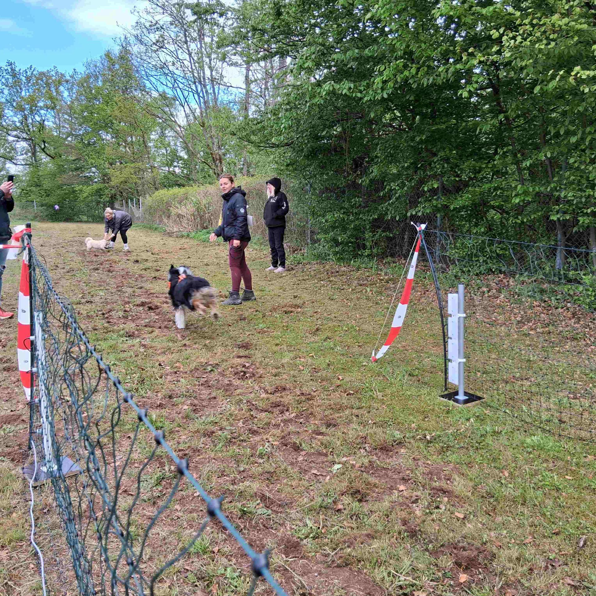 Ein Hund rennt in den Zieleinlauf, wo das Herrchen wartet.