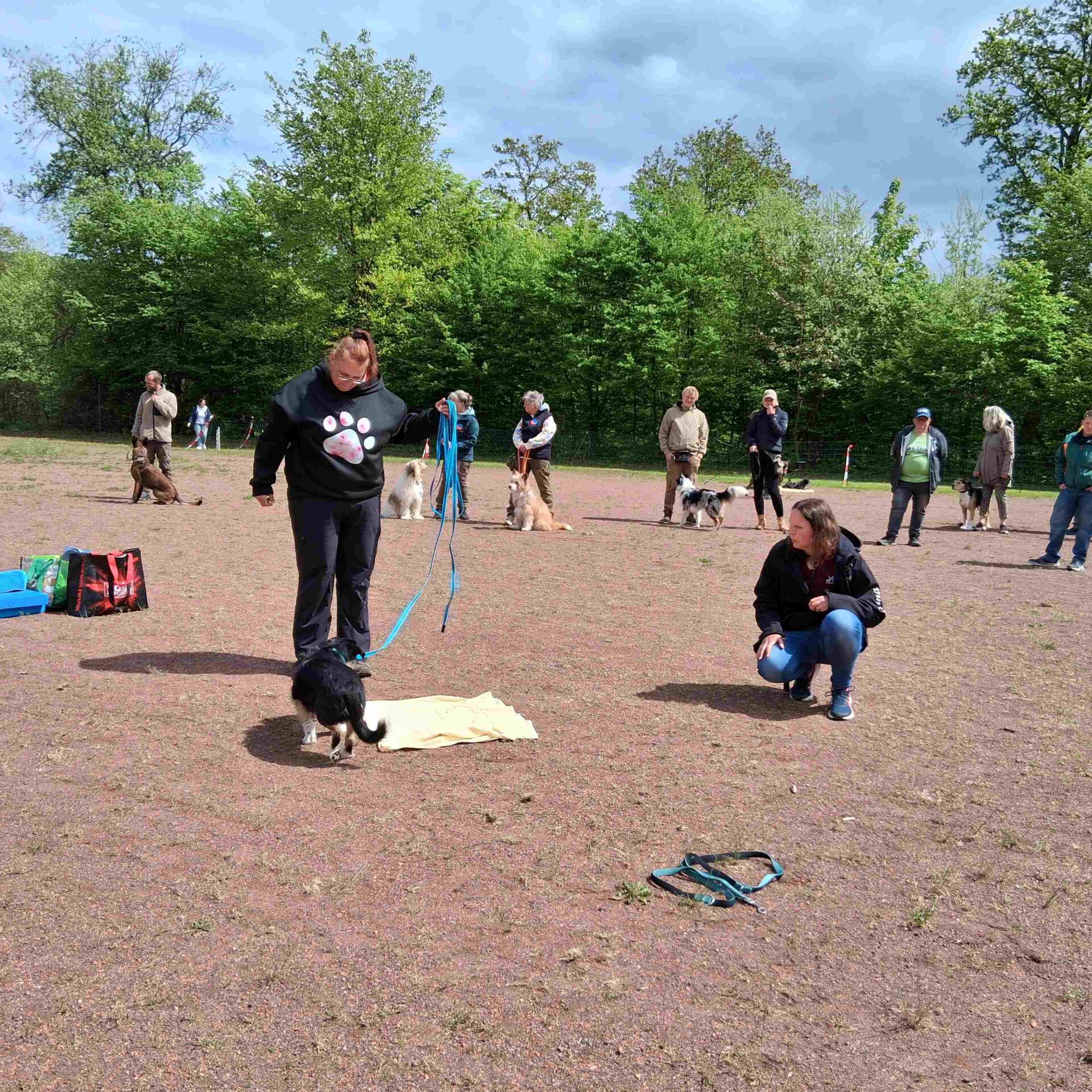 Hundehalter stehen auf einem Platz mit ihren Vierbeinern.