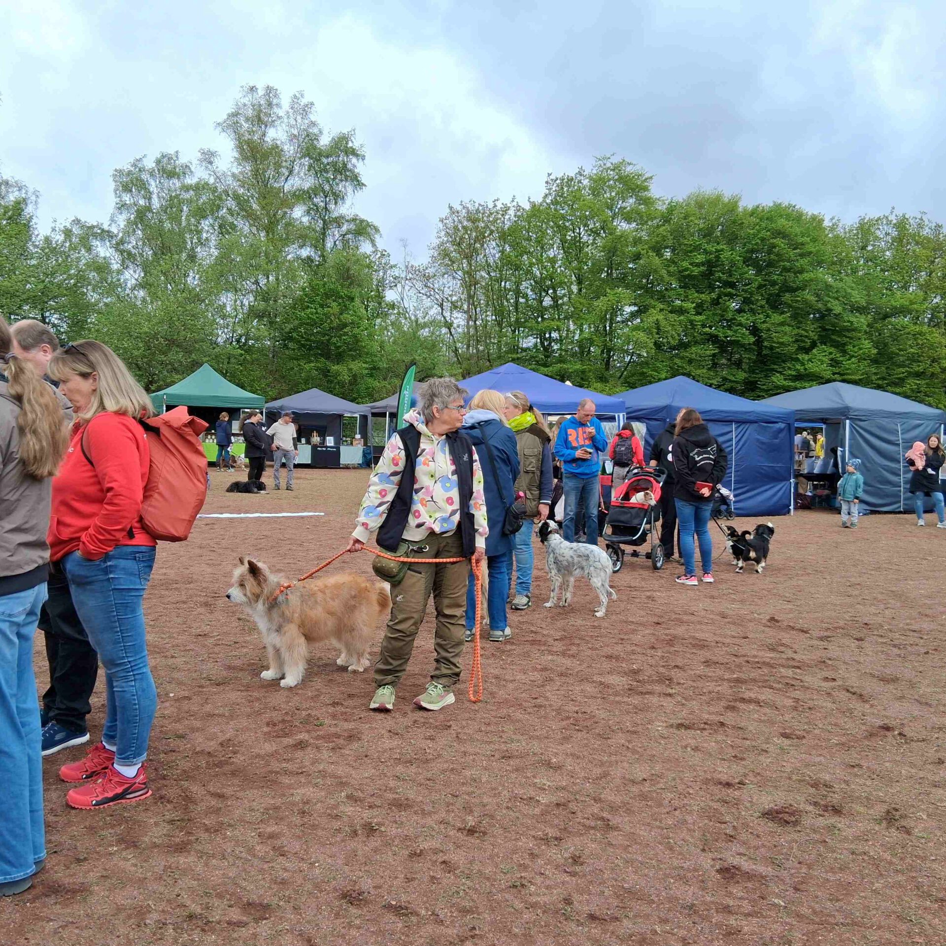Eine Gruppe Menschen steht abseits eine Hunderennen.