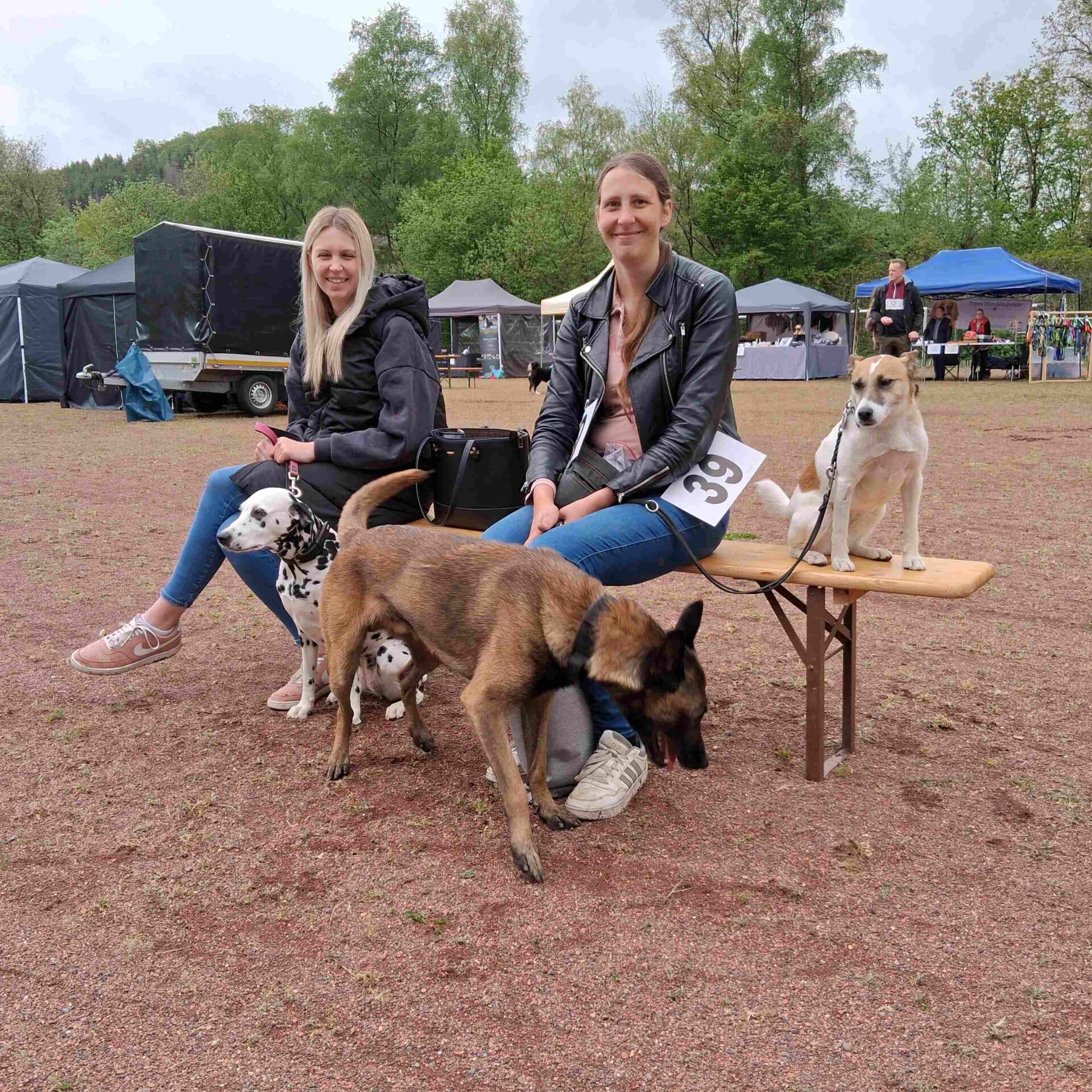 Zwei Frauen und drei Hunde sitzen abseits eines Hunderennen.