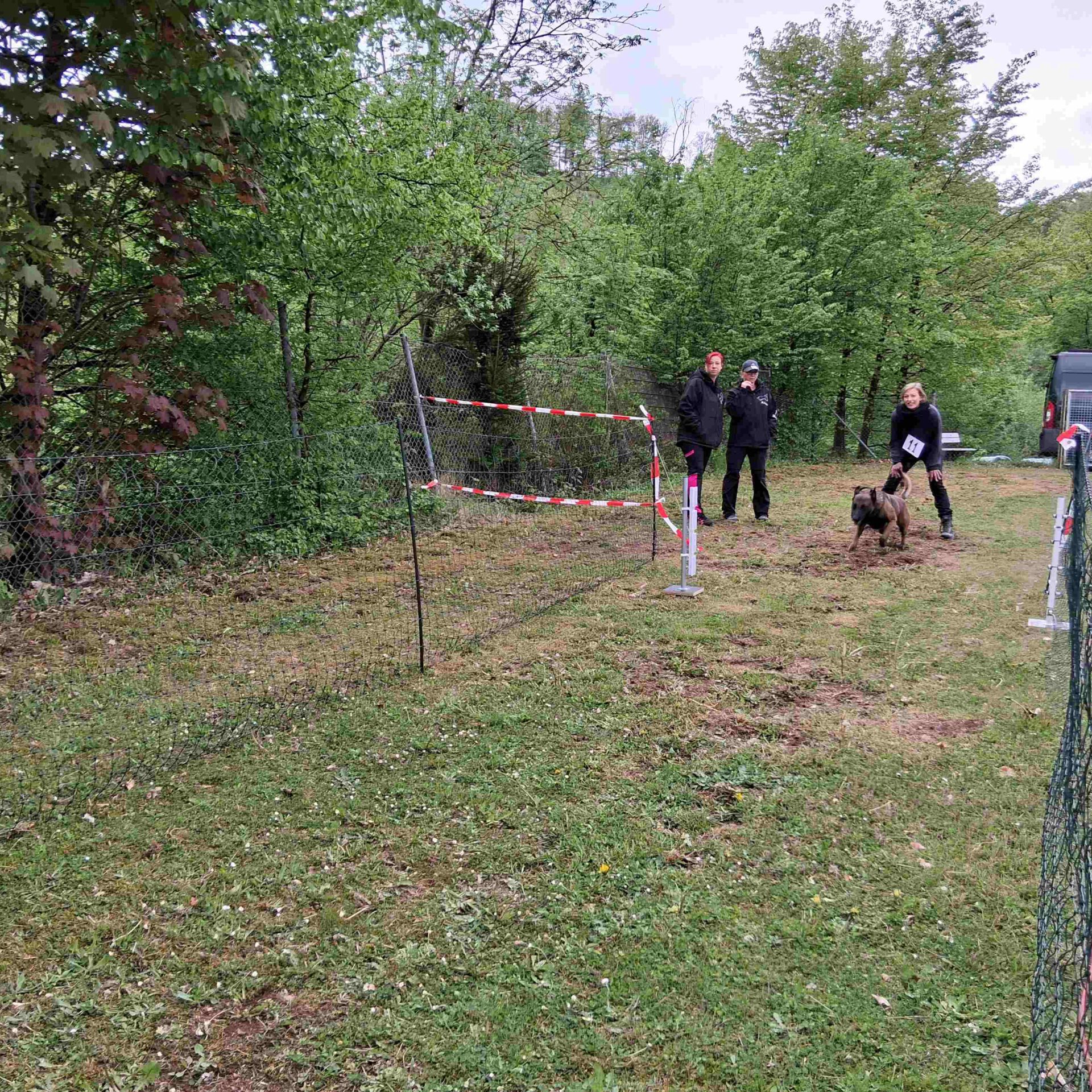 Drei Personen stehen am Start eines Hunderennen.