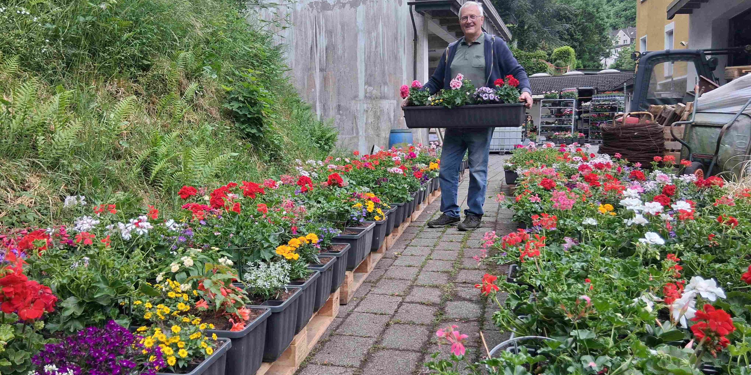 Dieter Steinmann ist einige Tage lang mit der Bepflanzung der Blumenkästen beschäftigt.