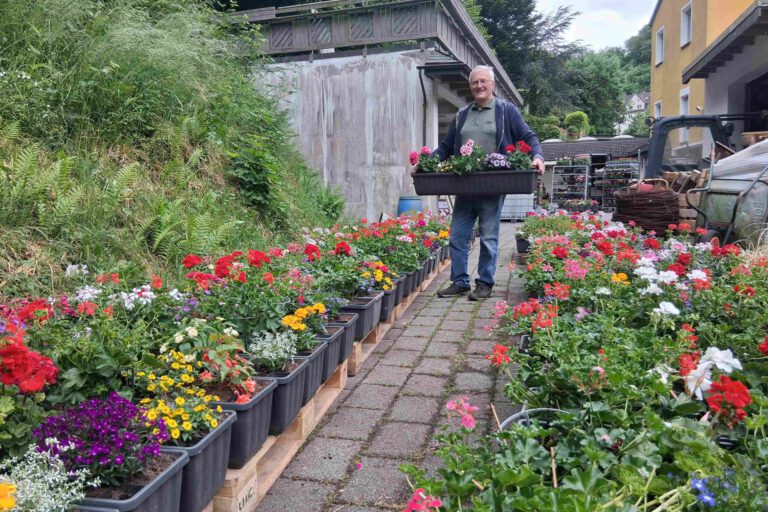 Dieter Steinmann ist einige Tage lang mit der Bepflanzung der Blumenkästen beschäftigt.