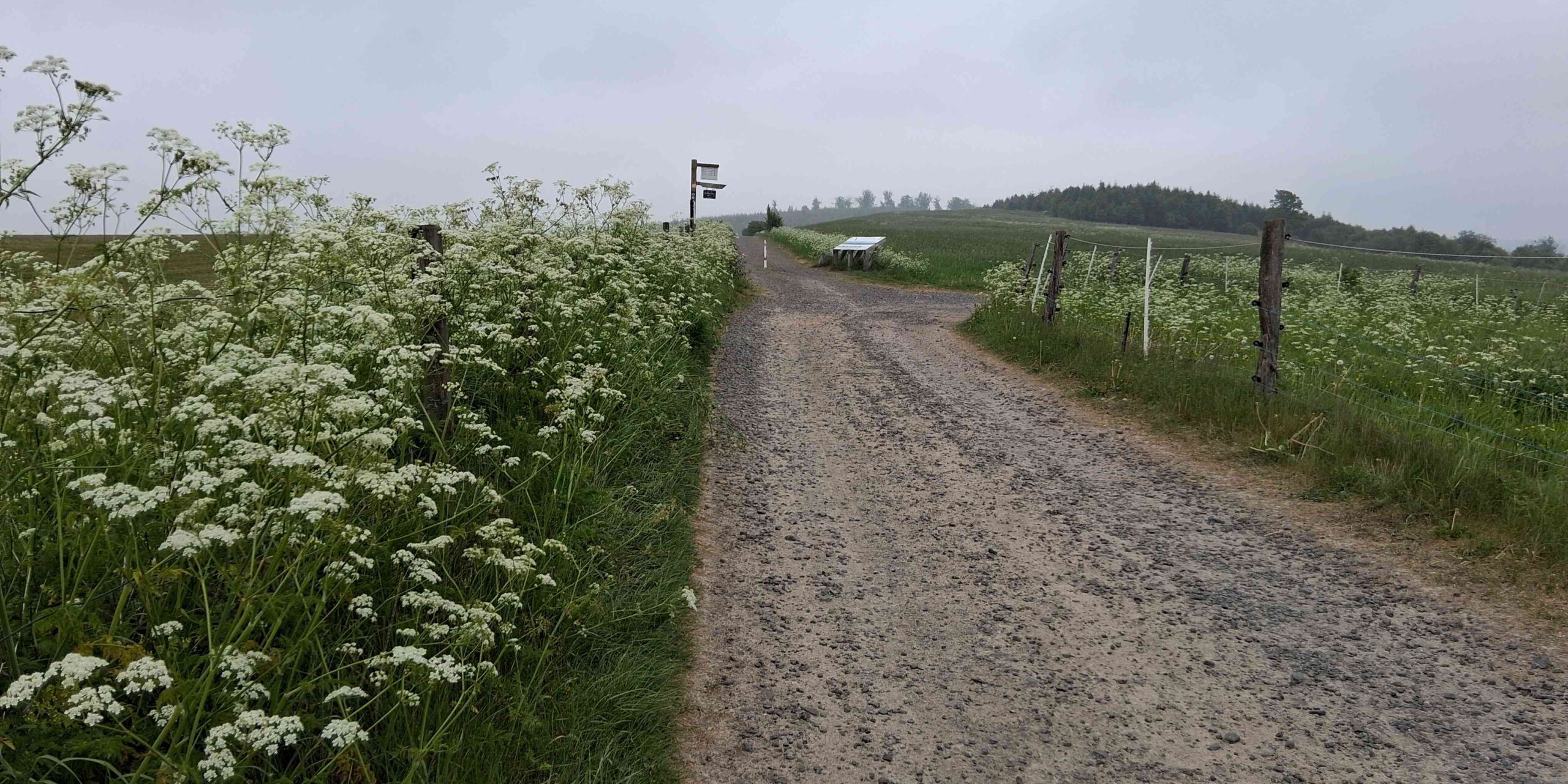 Wanderweg am Flugplatz Hegenscheid.
