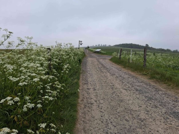 Foto: Ilka Kremer Wanderweg am Flugplatz Hegenscheid.
