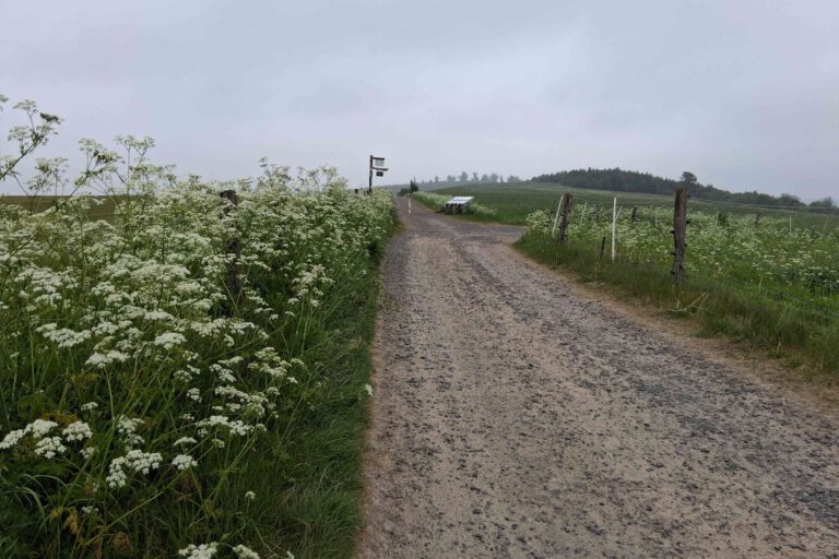 Wanderweg am Flugplatz Hegenscheid.
