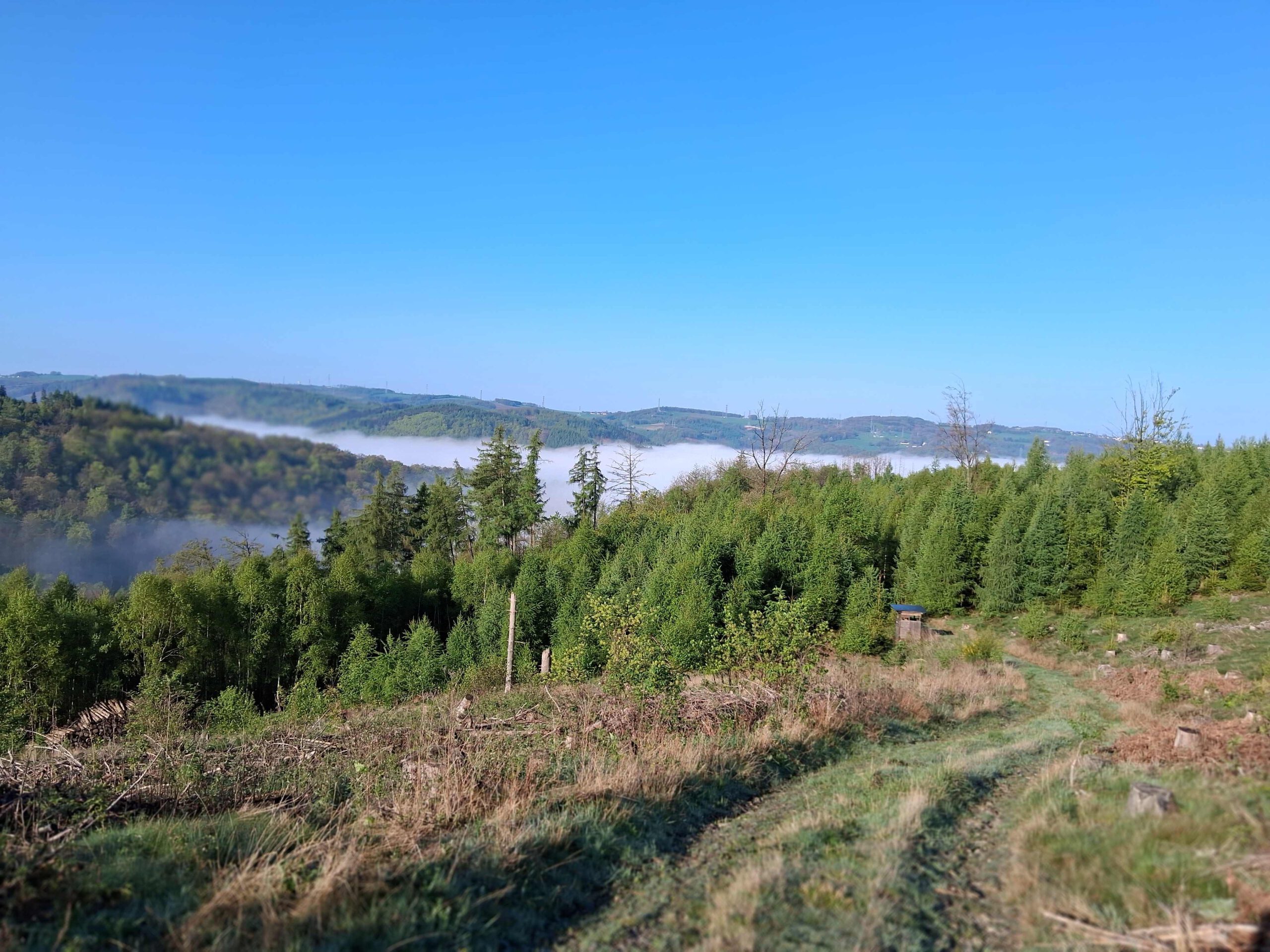 Wanderweg unterhalb des Hegenscheids.