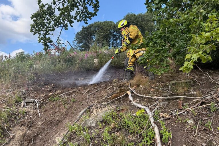 Einsatzkräfte der Feuerwehr löschen brennenden Waldboden in Nachrodt-Wiblingwerde.