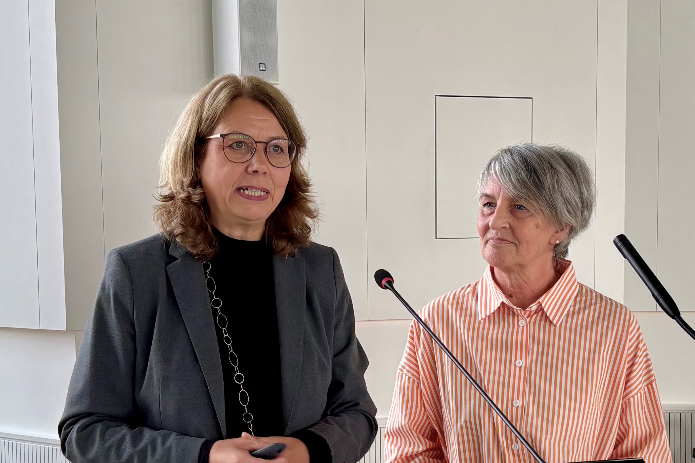 Mitarbeiterinnen der Drobs referierten im Ausschuss.