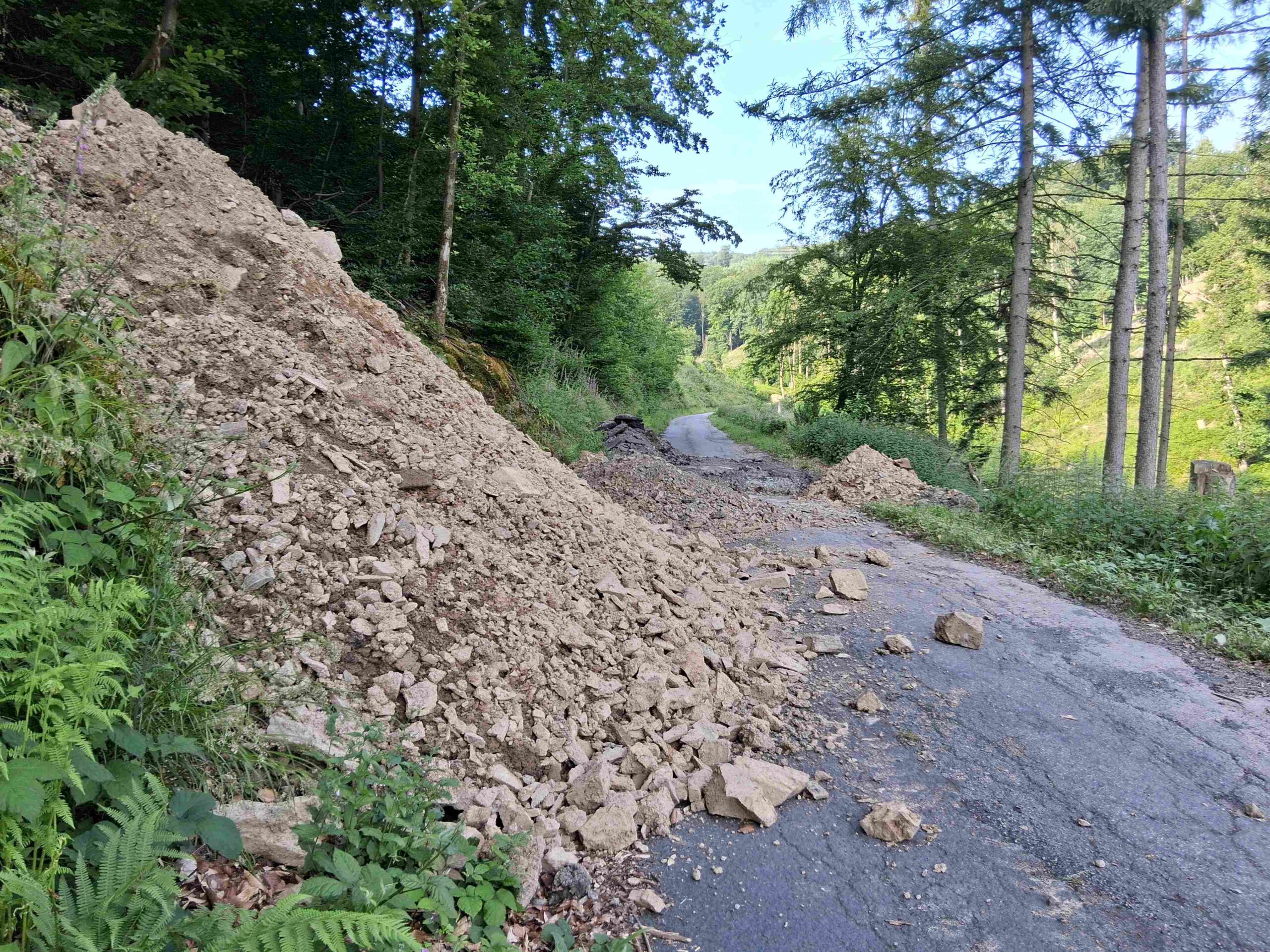 Große Löcher wurden in den Hallenscheider Weg gebuddelt.