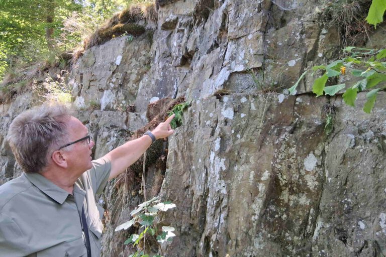 Foto: Ilka Kremer Andreas Kisker deutet auf die nach vorne geneigten Spalten im Fels.