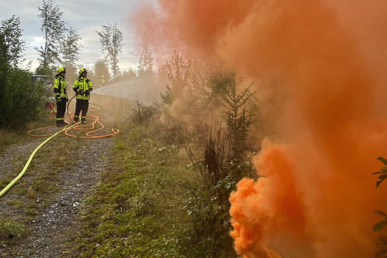 Aus einem Waldstück steigt oranger Rauch auf. Zwei Feuerwehrleute löschen mit einem D-Rohr.
