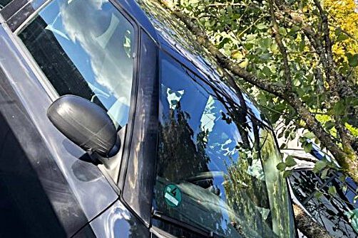 Foto: privat Die Krone eines umgestürzten Baum s liegt auf dem Dach eines schwarzen Autos.