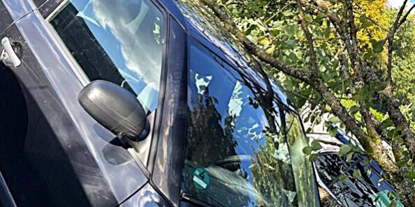 Die Krone eines umgestürzten Baum s liegt auf dem Dach eines schwarzen Autos.