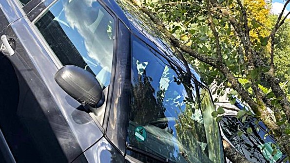 Foto: privat Die Krone eines umgestürzten Baum s liegt auf dem Dach eines schwarzen Autos.