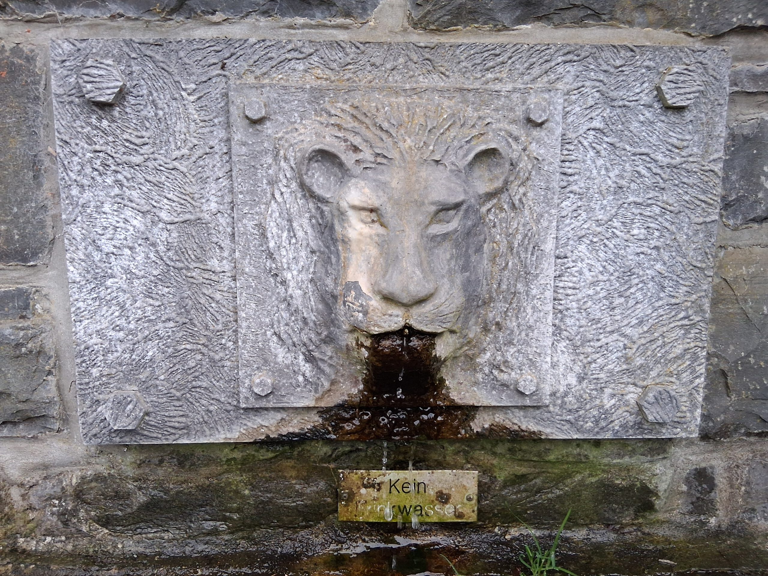 Ein in Stein gemeißelter Löwenkopf, aus dem Wasser rinnt.