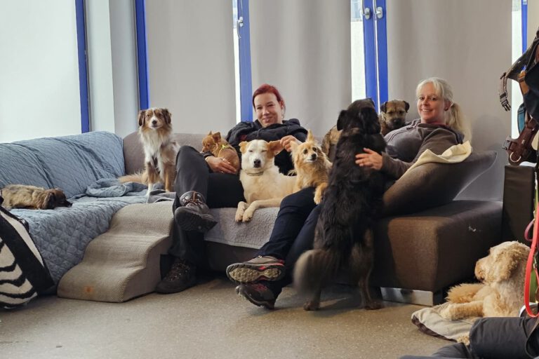 Foto: Ron Berghöfer